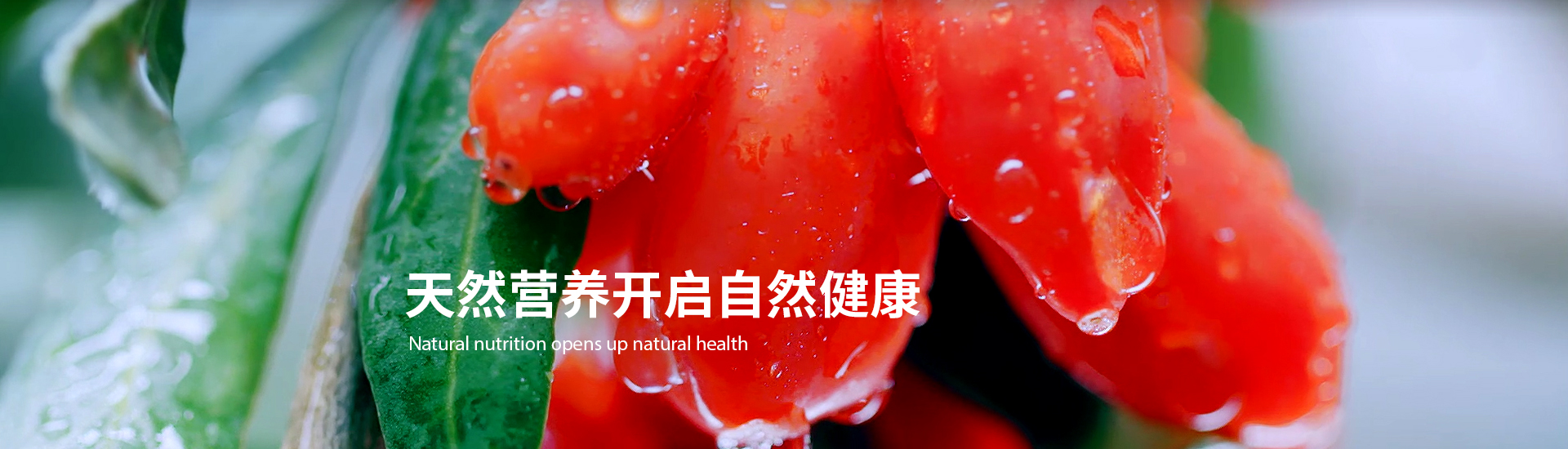 品牌文化