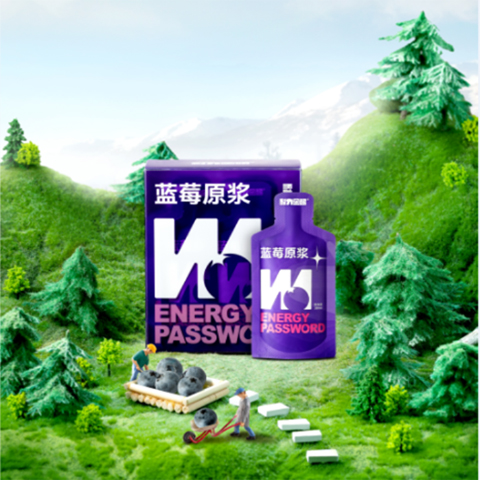 耐力密码蓝莓原浆